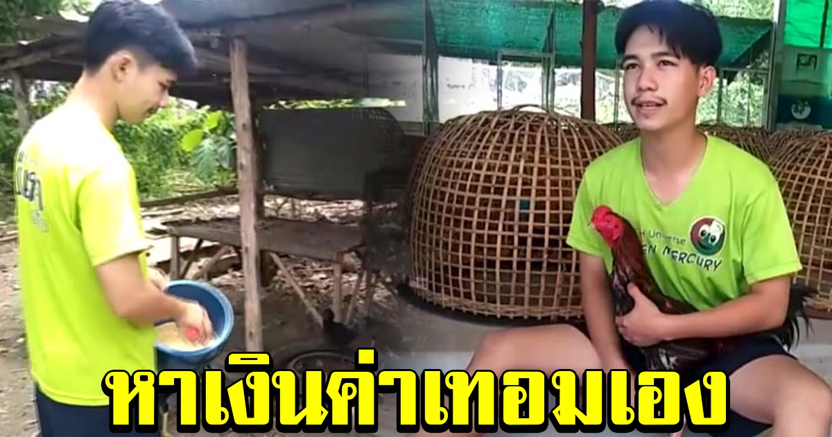 หนุ่มวัย 22  ใช้เวลาว่างเพาะไก่ชนพื้นเมืองขาย ส่งตัวเองเรียนปริญญาตรี ไม่พึ่งพาเงินพ่อแม่