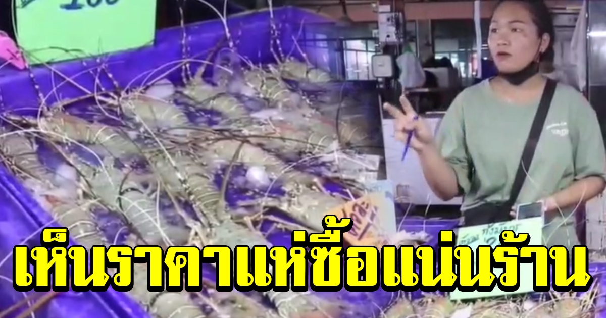 แม่ค้ารับกุ้งมังกรมาขาย ไม่ผ่านคนกลาง