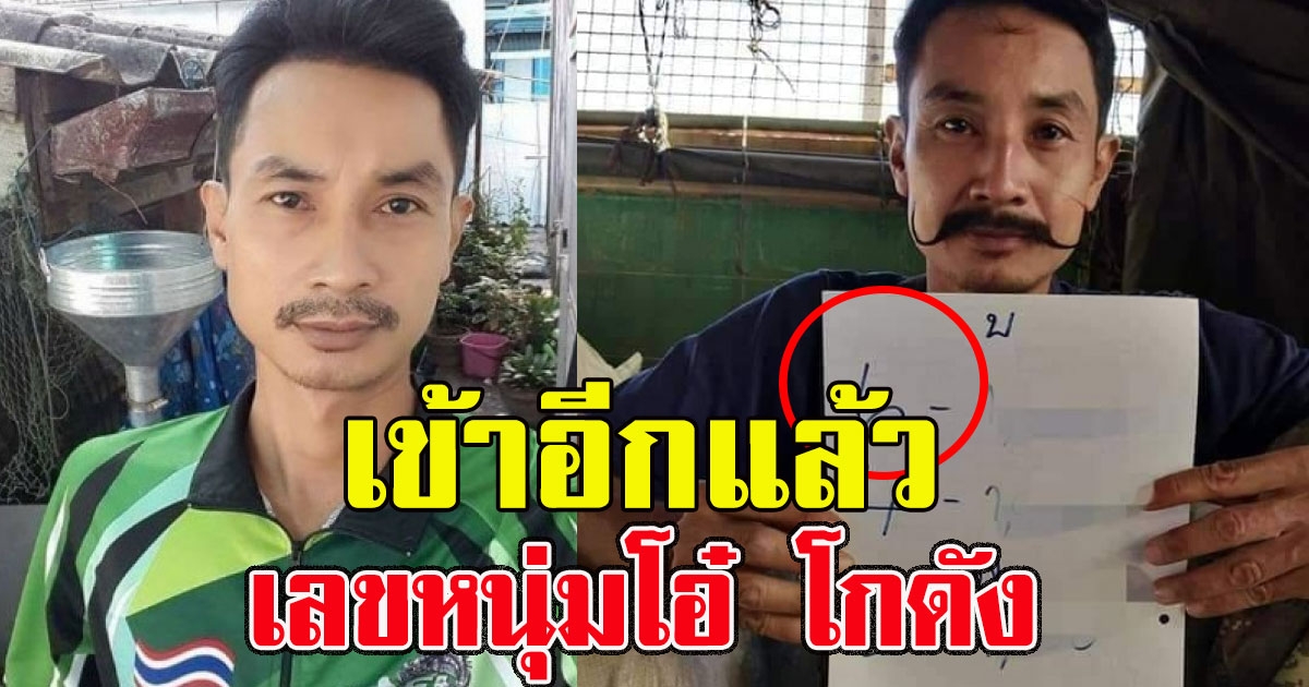 เข้าอีกแล้ว เลขหนุ่มโอ๋ โกดัง