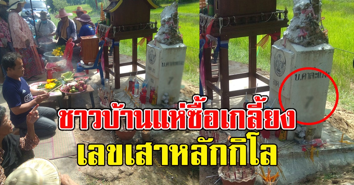 ชาวบ้านแห่ซื้อเกลี้ยง เลขเสาหลักกิโล