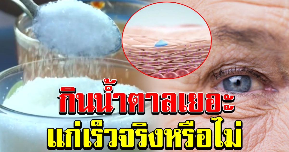 ผลวิจัยชี้ บริโภคน้ำตาลในปริมาณมาก ทำให้ดูสูงอายุกว่าที่เป็น