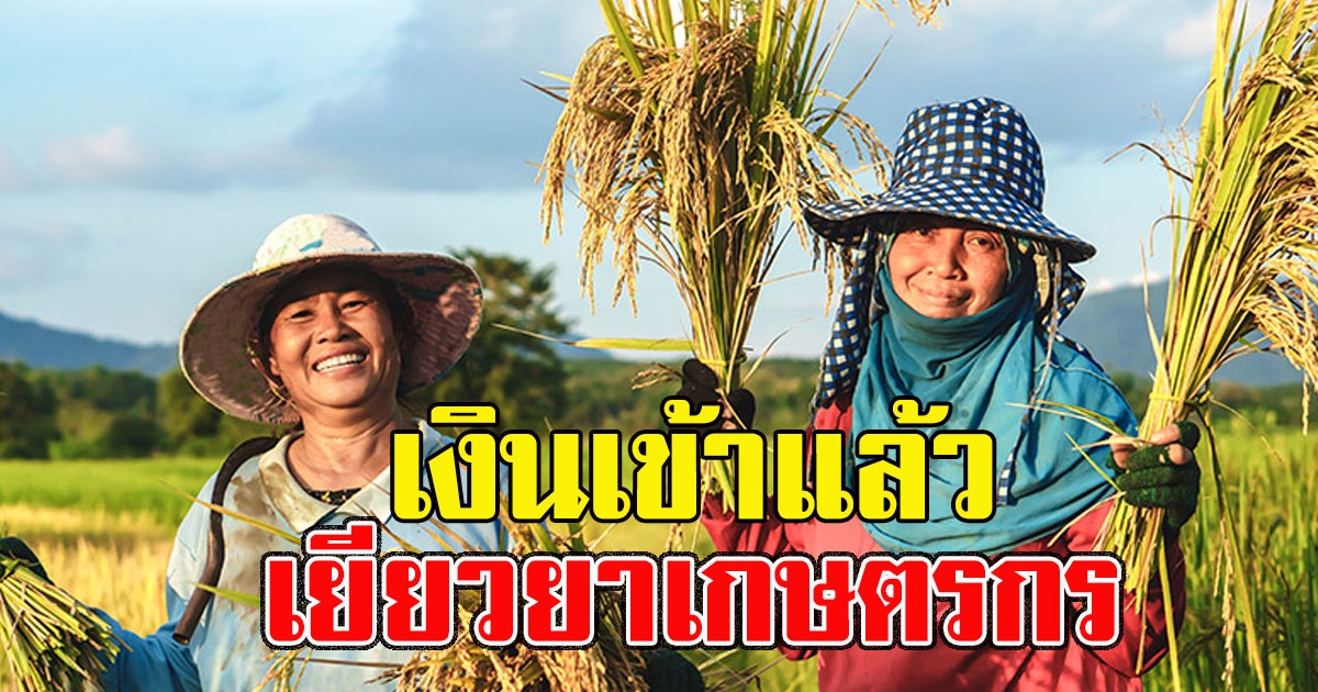 เช็กเลย เงินช่วยเกษตรกร โอนเงินรอบใหม่ ให้กลุ่มที่ 3 มีคนเงินเข้าแล้ว