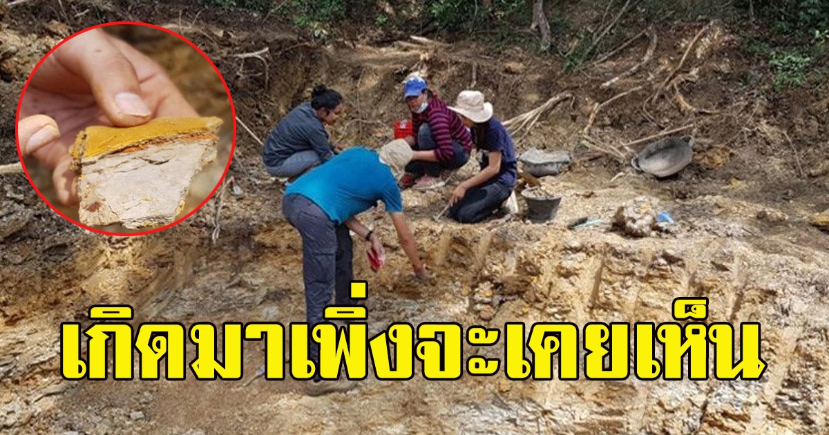 นักสำรวจ ขุดหลุมสำรวจความลึก 4เมตร ก่อนเจอเต็มๆ