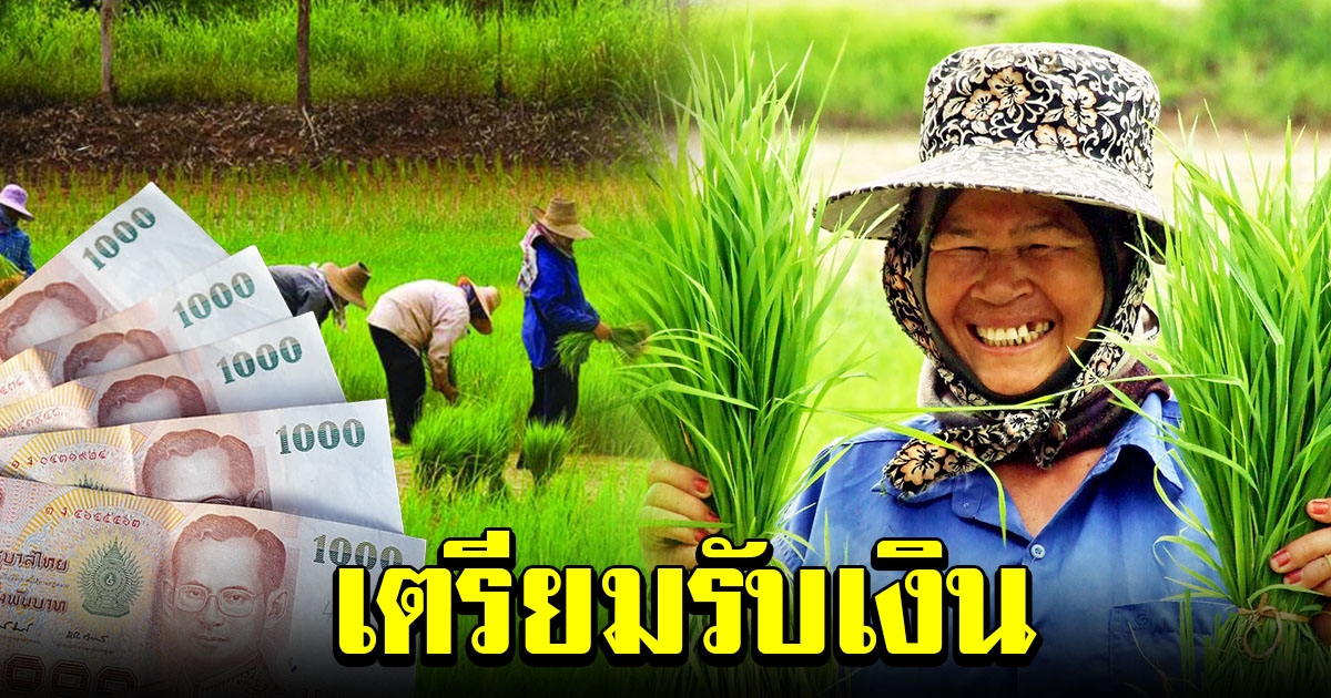 เช็กสิทธิ์ เยียวยาเกษตรกร ล่าสุด ธ.ก.ส.เตรียมโอนให้อีก 14,356 ราย