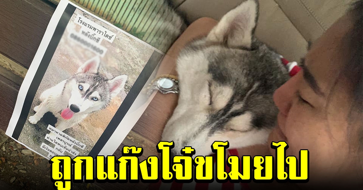 สาวสุดดีใจ หลังได้สุนัขที่ถูกขโมยไป คืนกลับมา