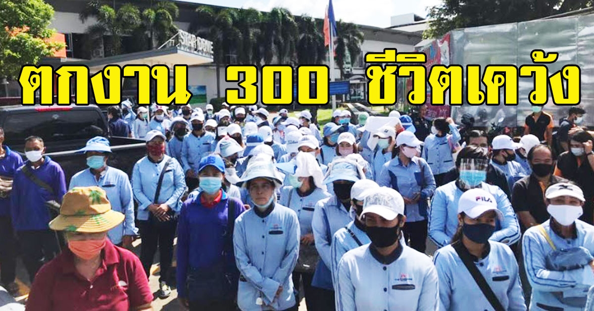 แคดดี้สนามกอล์ฟสตาร์โด ตกงาน 300 ชีวิตเคว้ง