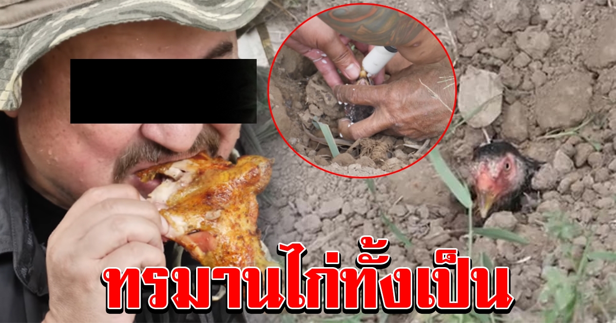 จวกยับ รายการอาหารชื่อดัง ทำเมนูไก่หลุม