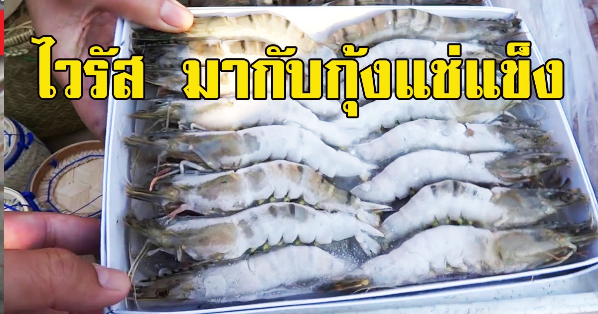 ด่วน จีนพบไวรัสโคโรน่าสายพันธ์ใหม่ บนบรรจุภัณฑ์ กุ้งแช่แข็ง