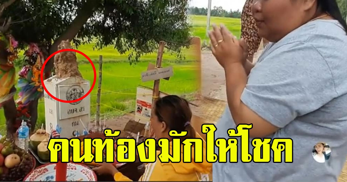 สาวขอเลข