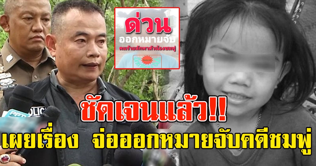 คดีพลิก พ ต อ ชัชชัย พูดแล้ว เรื่อง จ่อออกหมายจับคดีชมพู่ งานนี้ชัดเจน