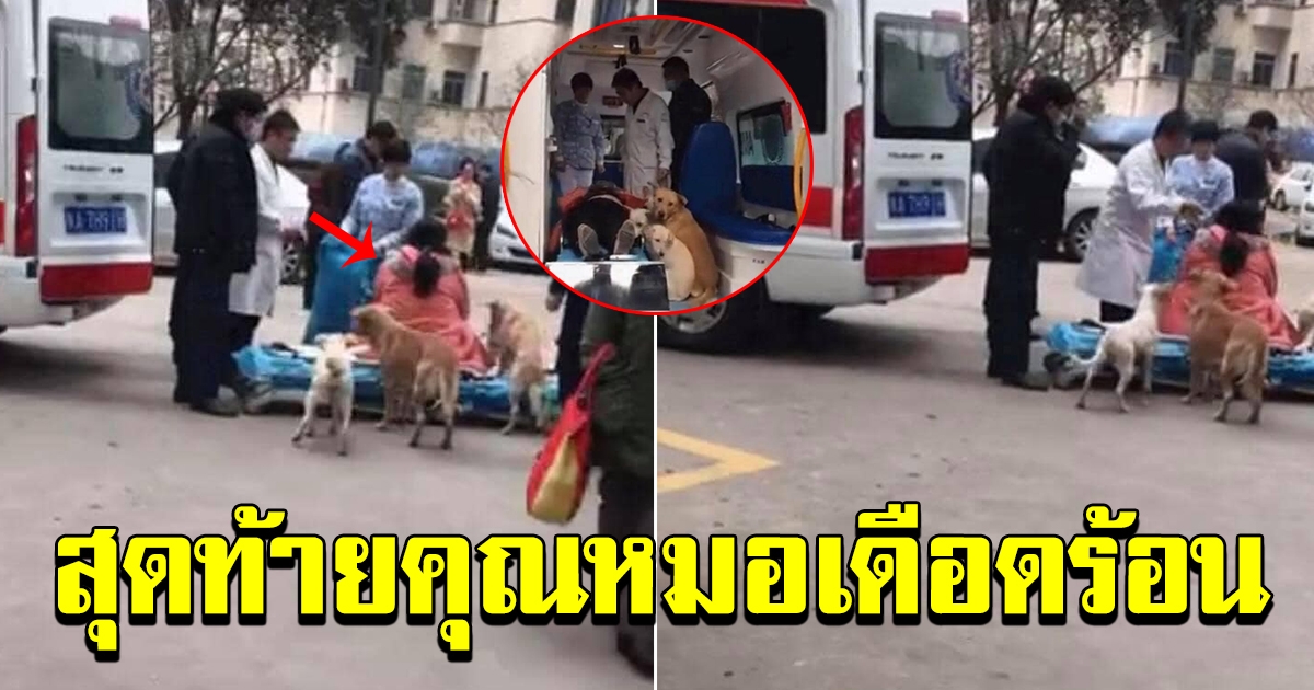 คุณหมอ พาคนมีน้องไปโรงบาล