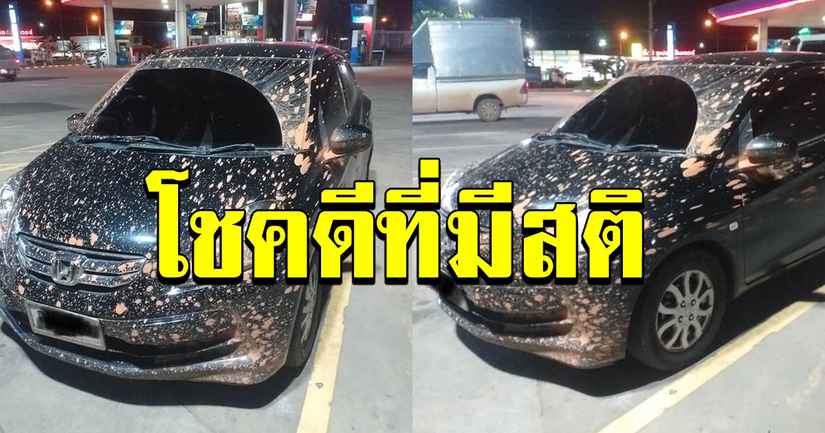 สาวโพสต์เตือน ขับรถตอนกลางคืน ต้องระวัง