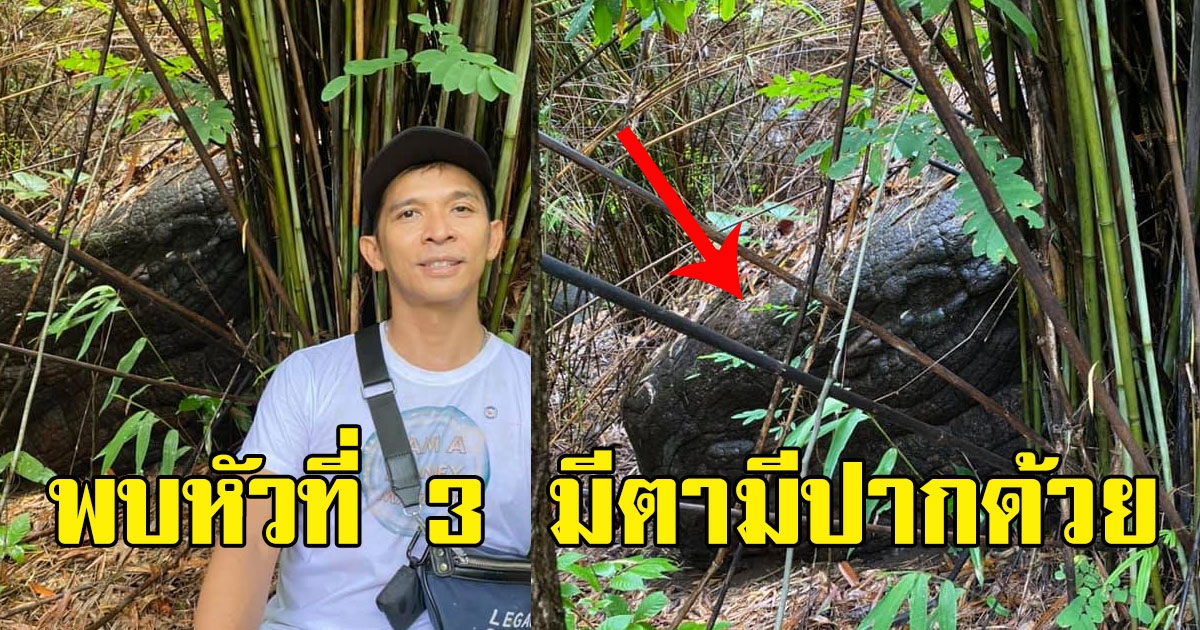 เจออีกหัวที่ 3 หินคล้ายหัวพญานาค มีดวงตา ปากชัดเจน