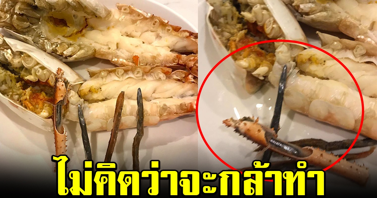 สาวโพสต์เตือน ใครจะซื้อกุ้งมาทำกินเอง