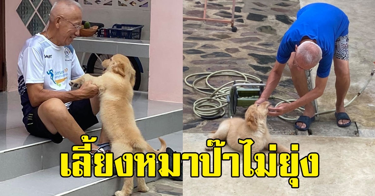 สาวจะเอาสุนัขมาเลี้ยง พ่อยืนกราน เลี้ยงหมาป๊าไม่ยุ่ง