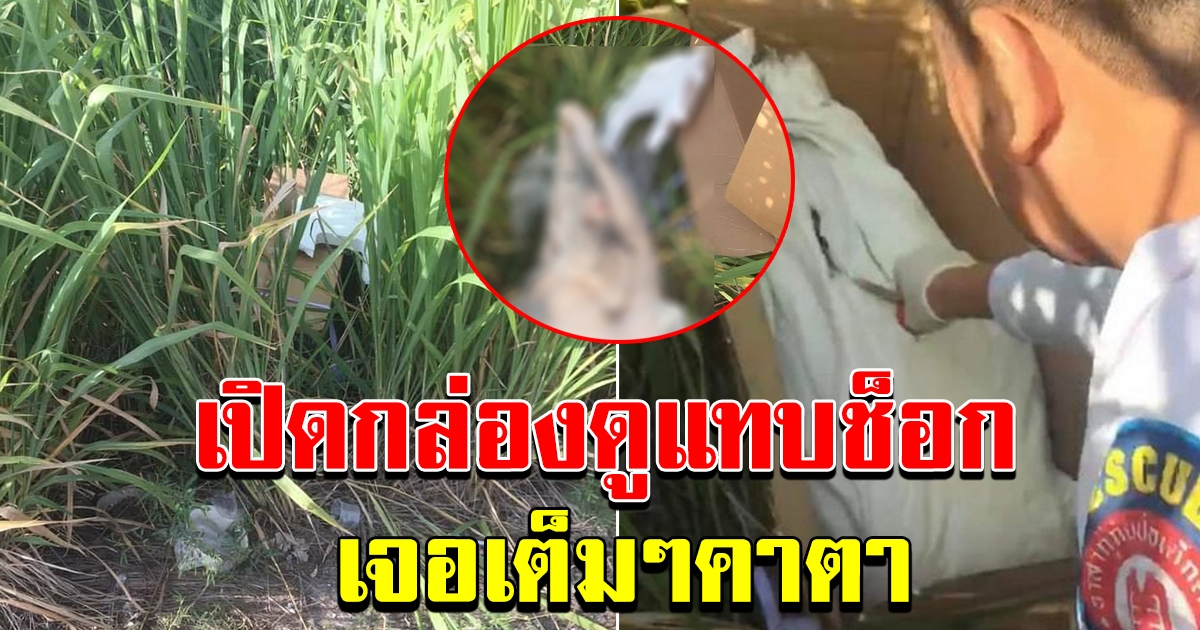 กู้ภัย ได้รับแจ้ง มีกล่องต้องสงสัยถูกนำมาทิ้งป่าข้างทาง