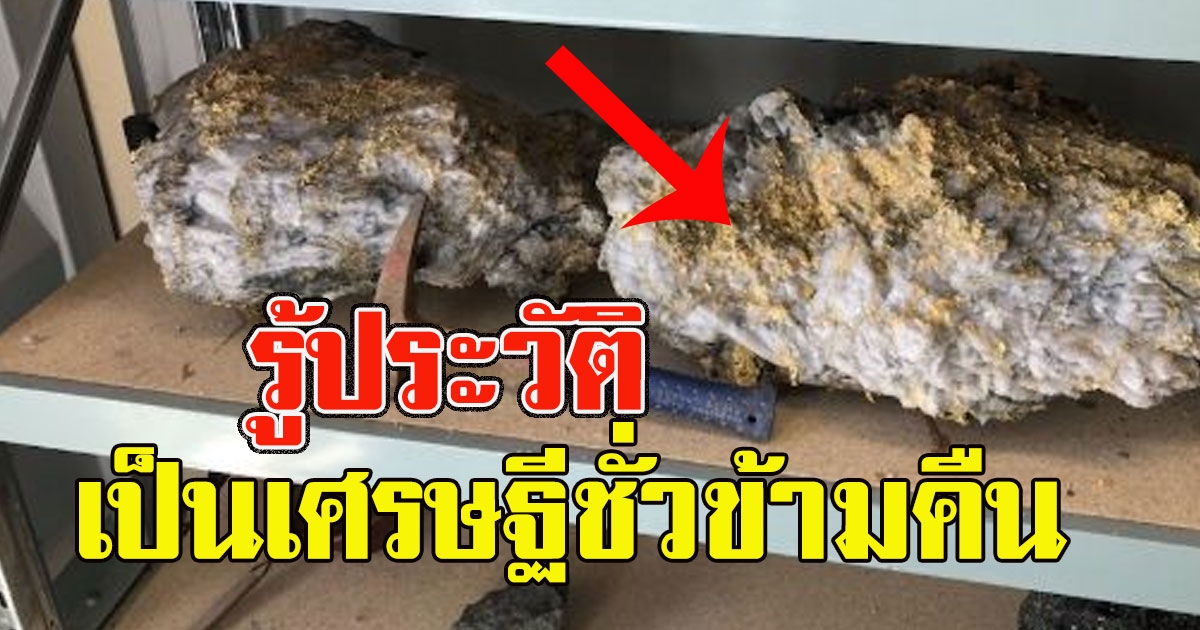 คนงานขุดพบก้อนหินแปลกๆ ตัดสินใจตรวจดู เป็นเศรษฐีชั่วข้ามคืน