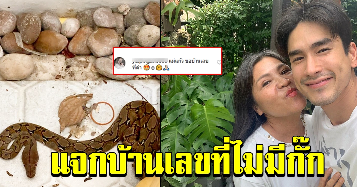 งูเข้าบ้าน ณเดชน์ คนแห่ถามบ้านเลขที่ แม่แก้วบอกตรง ๆ ไม่กั๊ก