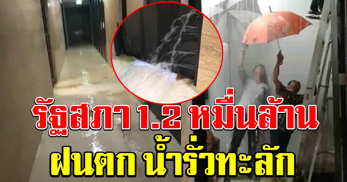 รัฐสภา 1.2 หมื่นล้าน ฝนถล่มน้ำรั่วท่วมทะลัก