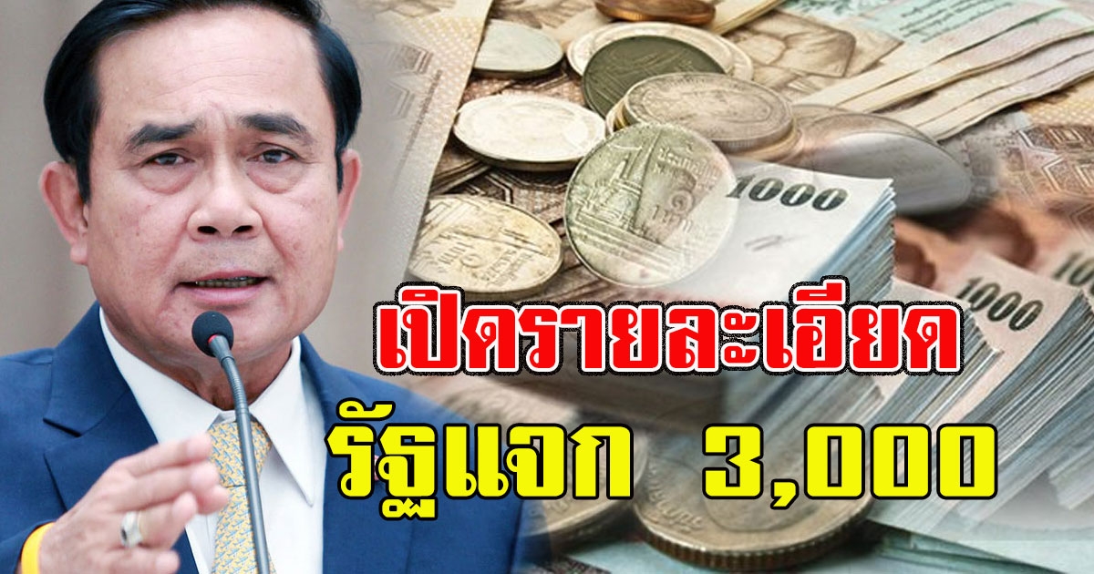 เช็กเลย เปิดรายละเอียด รัฐแจก 3000 กระตุ้นการใช้จ่าย