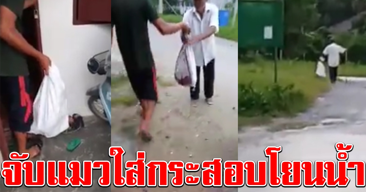 รับไม่ได้ แมวถูกจับใส่กระสอบ โยนทิ้งลงคลอง