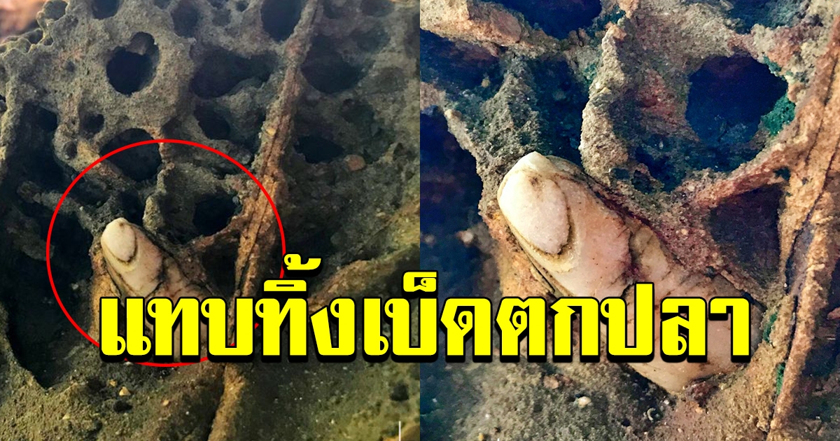 หนุ่มไปตกปลา สุดท้ายแทบวิ่งป่าราบ