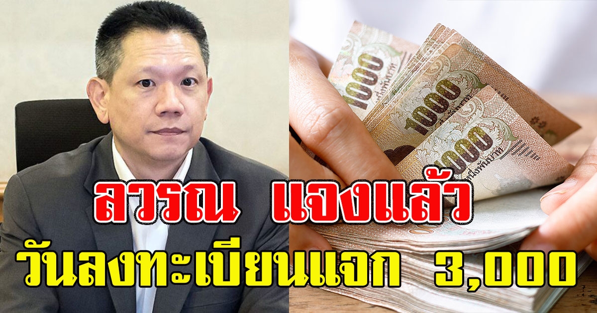 ลวรณ แจงแล้ว วันลงทะเบียนโครงการ คนละครึ่ง แจกคนละ 3000