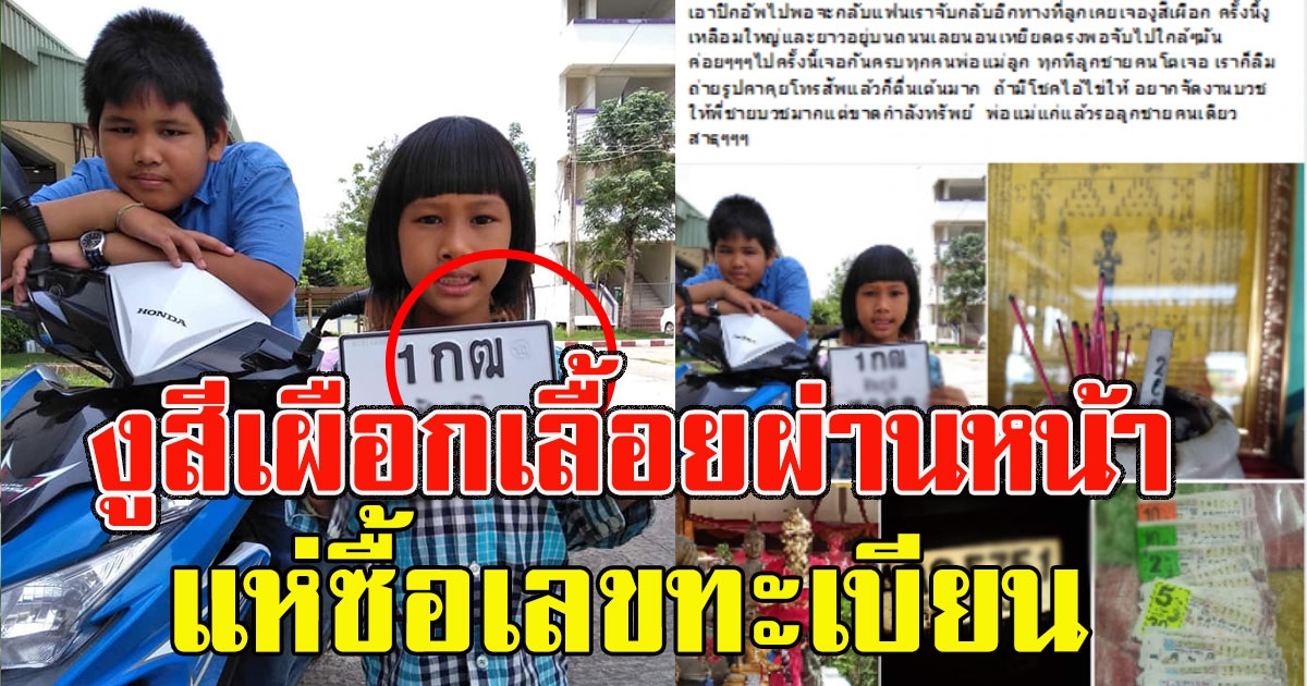 สาวโพสต์ ลูกชายขี่รถครั้งแรกเจองูสีเผือกเลื้อยผ่านหน้า แห่ซื้อเลขทะเบียน