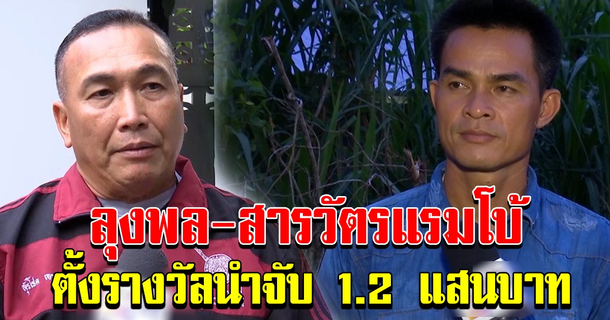 ลุงพล ป้าแต๋น พร้อมมอบเงิน 1 แสน ตั้งรางวัล