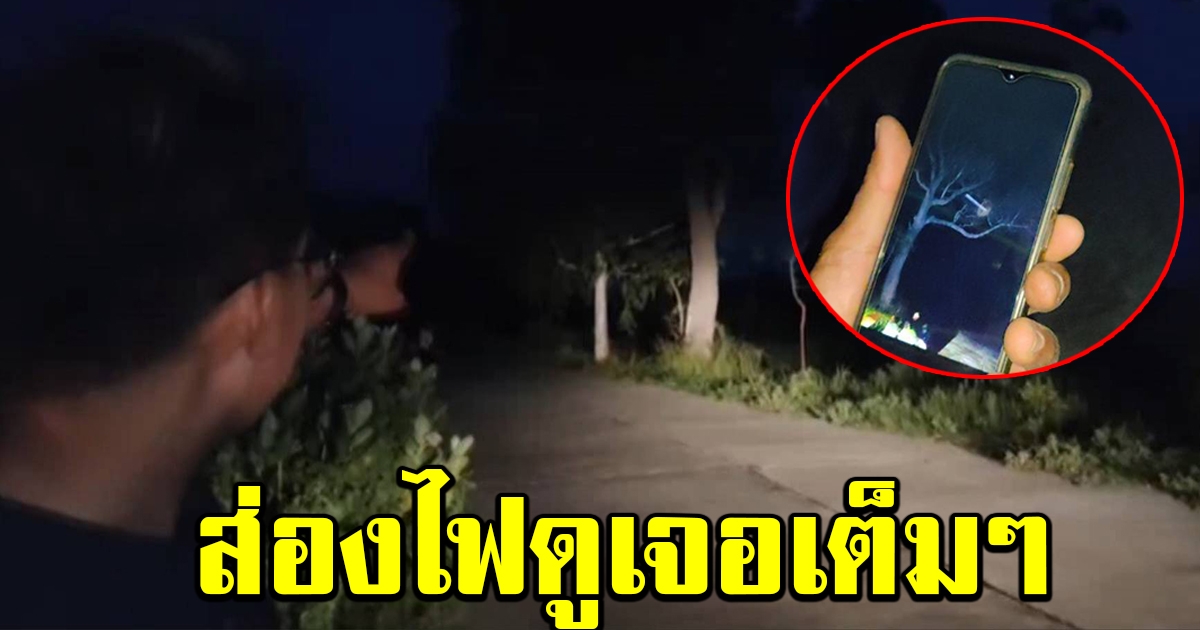 จนท ท้าพิสูจน์ผีบนต้นไม้ พบมีเงาคล้ายคนนั่งบนกิ่งไม้จริง