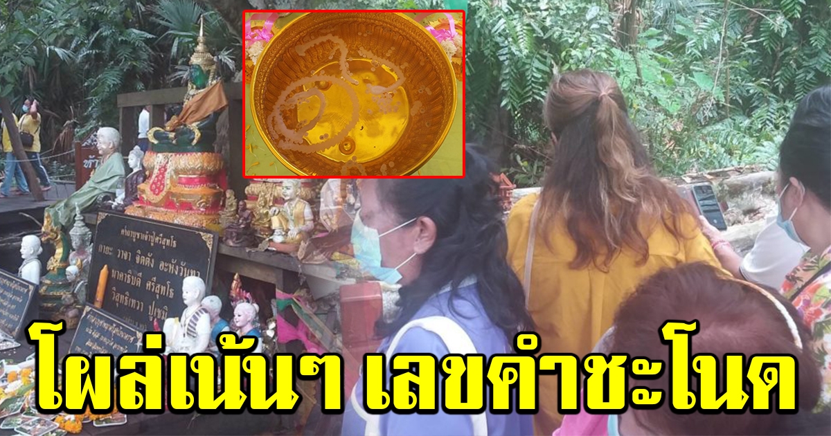 แห่ขอพรปู่ศรีสุทโธ ได้เลขมะเดื่อยักษ์คำชะโนด ขันมนต์พิธีเด่นชัด