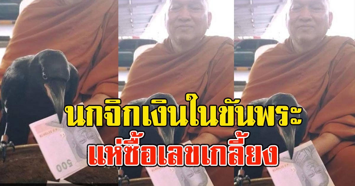 หนุ่มโพสต์ นกจิกเงินในขันพระ แห่ซื้อเลขเกลี้ยง