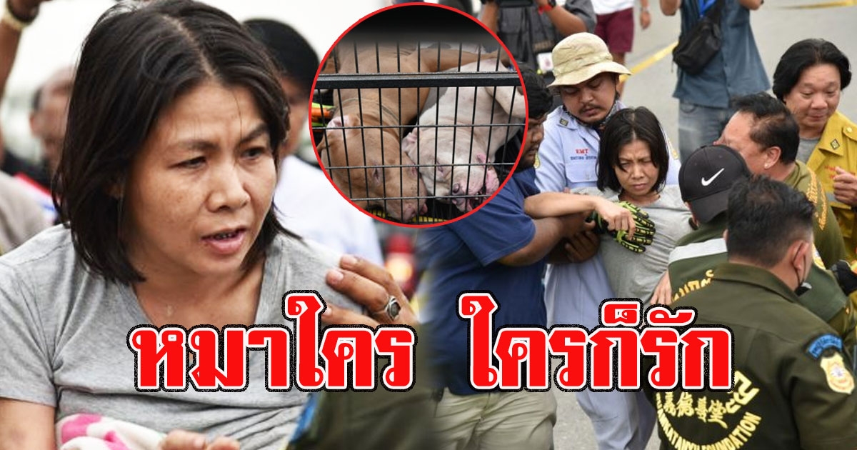 คำพูดแรก หงส์ หลังจนท.ล้อมยิงยาสลบ ช่วย4ชีวิตปลอดภัย