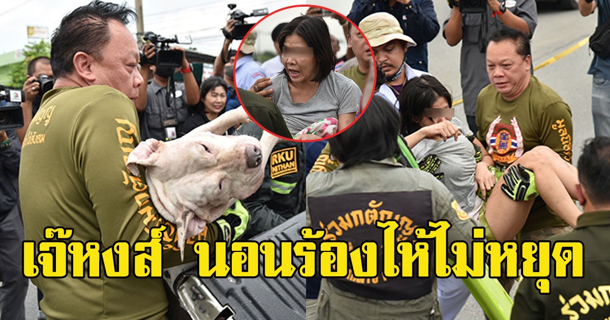 เปิดนาทีเจรจา หงส์ นอนร้องไห้ไม่หยุด จนท.สัญญา ไม่พรากหมาไปไหน