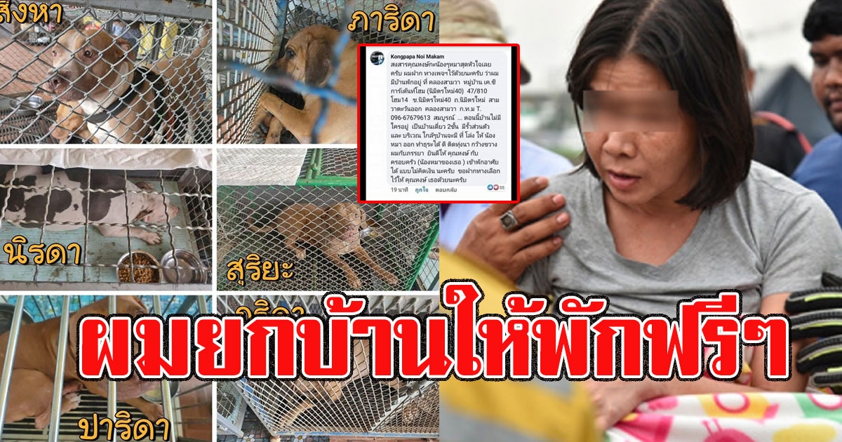 ชายประกาศตามหา เจ๊หงษ์ กับน้องหมาทั้ง 6 เสนอยกบ้านให้พักฟรีๆ มีบริเวณรั้วรอบขอบชิด