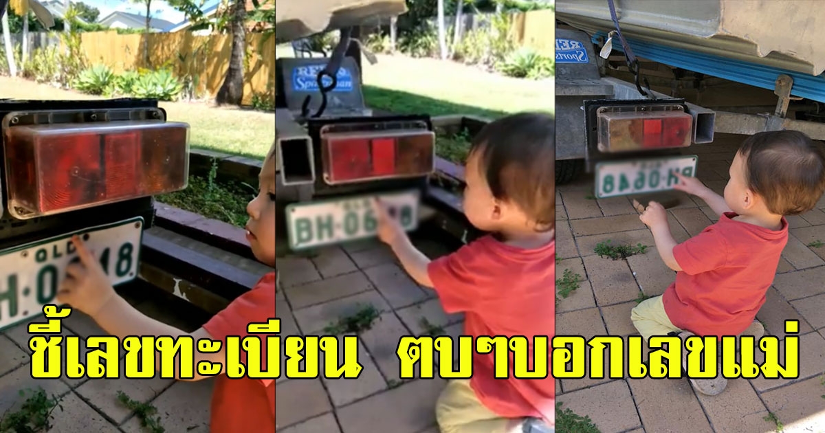 เกลี้ยงแผงแล้ว หนุ่มน้อย ชี้เลขทะเบียน ตบๆบอกเลขแม่