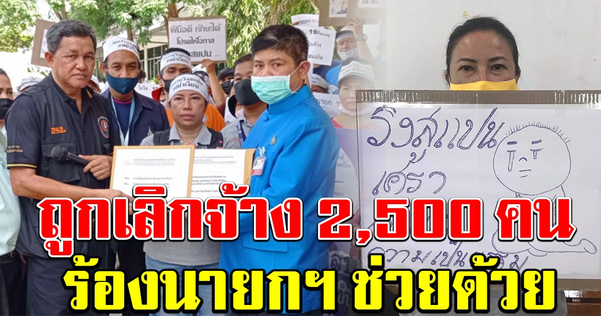 คนงานวิงสแปน ร้องนายกฯ ถูกเลิกจ้าง 2500 คน