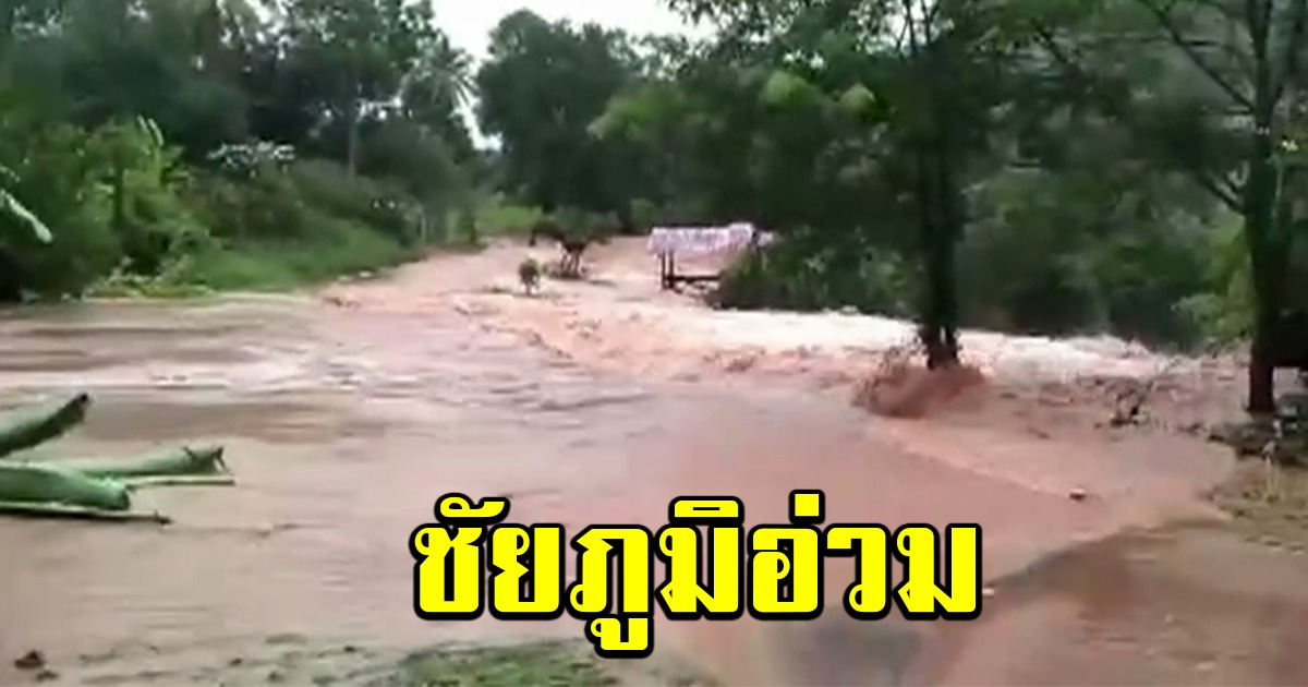 พิษ พายุโนอึล ชัยภูมิอ่วมหลายพื้นที่
