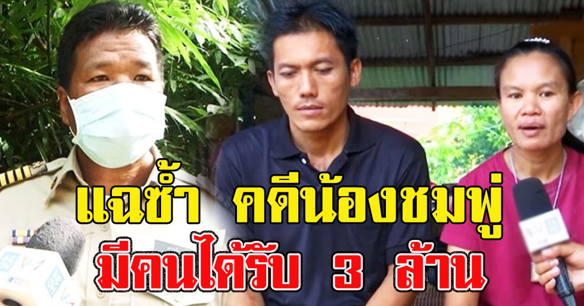 แฉซ้ำ คดีน้องชมพู่ มีคนได้รับ 3 ล้าน ล่าสุด ผญบ.แจ้งความแล้ว