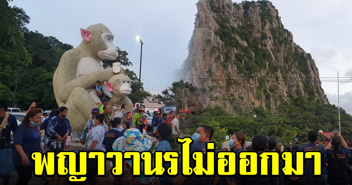 นักท่องเที่ยวผิดหวัง พญาวานรไม่ออกมา ชาวบ้านเชื่อต้องรอวันพระถึงได้เห็น