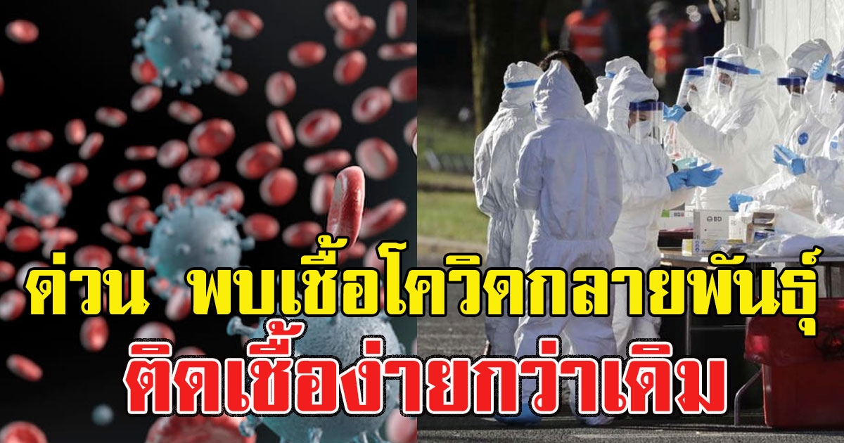 ด่วน พบเชื้อโควิดกลายพันธุ์ ติดเชื้อง่ายกว่าเดิม