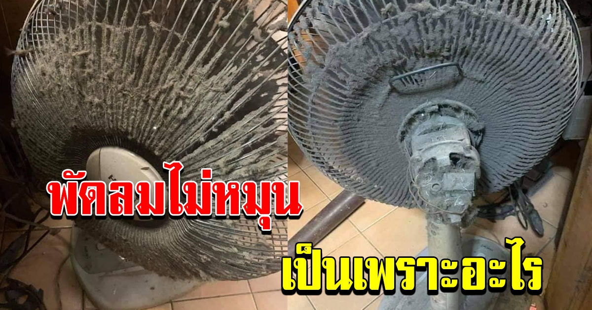 สาวโพสต์ พัดลมที่บ้านไม่หมุน
