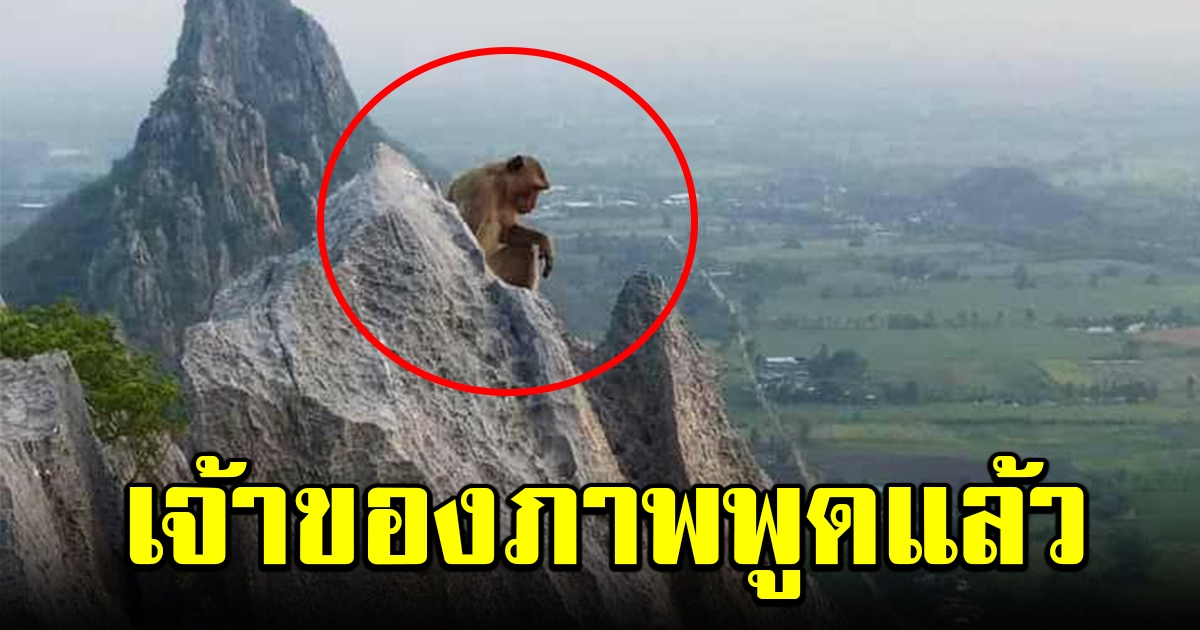 เจ้าของรูปถ่ายพูดแล้ว ภาพลิงบนยอดเขาหน่อ