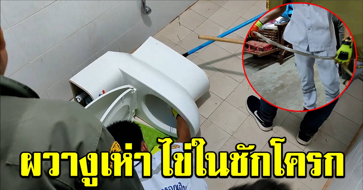 เจ้าของบ้านผวา งูเห่าวางไข่ในชักโครก