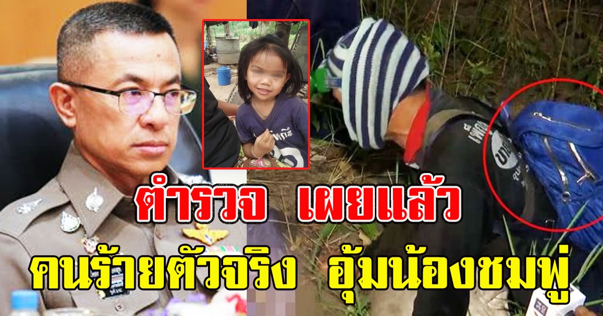 ตำรวจ เผยแล้ว คนร้ายตัวจริง อุ้มน้องชมพู่