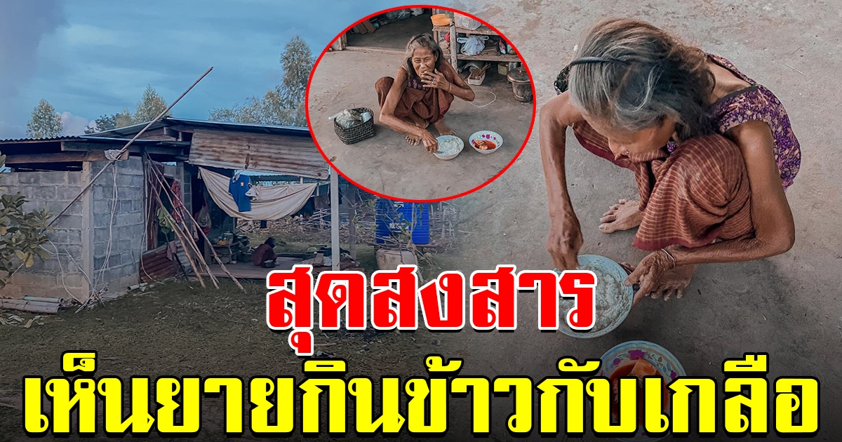 สาวเห็นยาย นั่งกินข้าวกับเกลือ รีบวิ่งไปหยิบปลากระป๋องมาให้ พอได้ยินที่ยายพูด ถึงกับจุกน้ำตาซึม