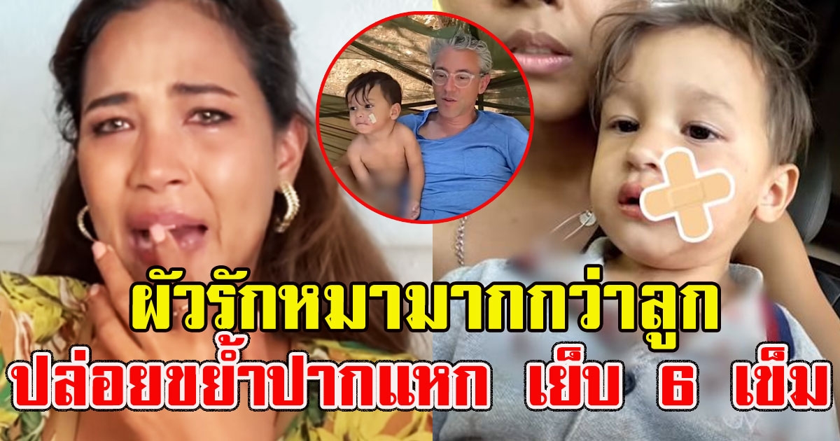 เมญ่า ร่ำไห้ สามีรักหมามากกว่าลูก ปล่อยขย้ำปากแหก เย็บ 6 เข็ม