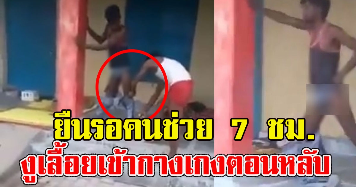 หนุ่มโดนงูเลื้อยเข้ากางเกงตอนหลับ ต้องกลั้นใจยืนรอคนช่วย 7 ชม.