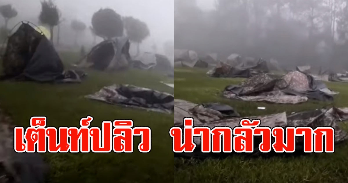 เปิดคลิปนาที  พายุถล่มภูกระดึง เต็นท์ปลิวกว่า50หลัง ต้นสน70ปี ก็สู้ไม่ไหว
