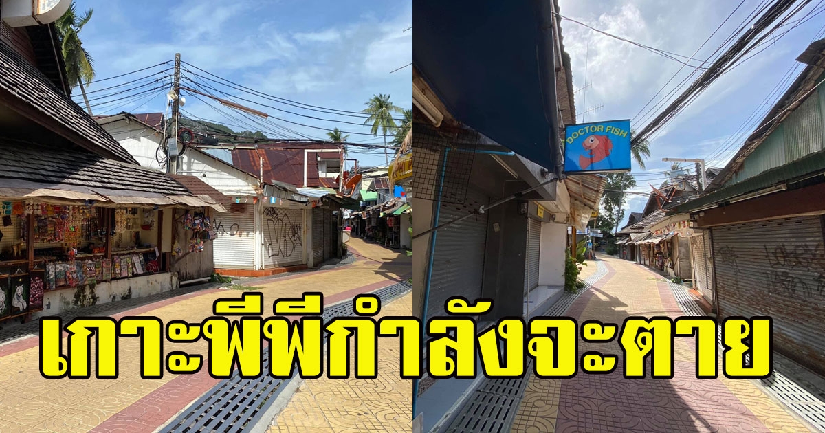 เปิดภาพล่าสุด เกาะพีพี เงียบสงัด โครงการรัฐส่งมาช่วยไม่ถึง